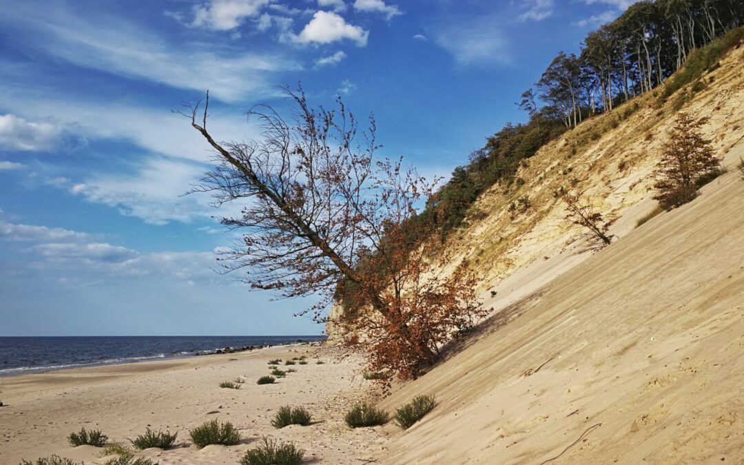 Festiwal Gwiazd w Międzyzdrojach