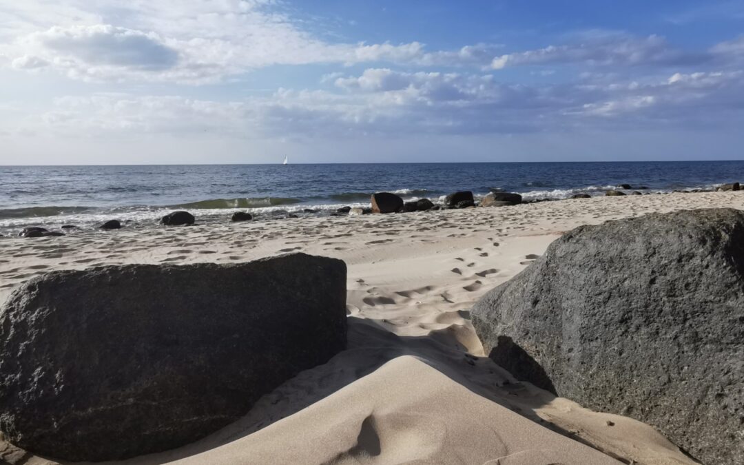 Muzeum Przyrodnicze Wolińskiego Parku Narodowego w Międzyzdrojach