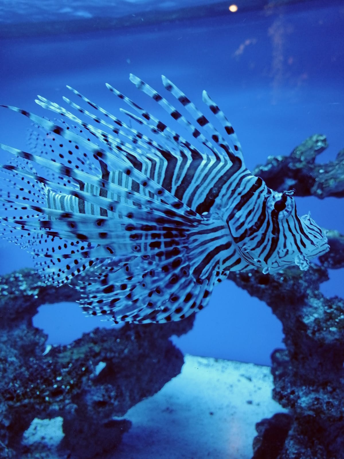 oceanarium_miedzyzdroje_05